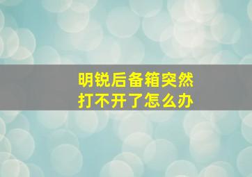 明锐后备箱突然打不开了怎么办