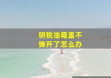 明锐油箱盖不弹开了怎么办