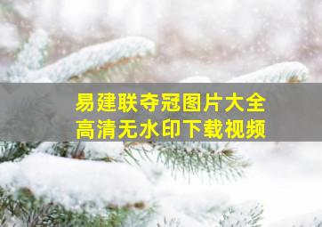 易建联夺冠图片大全高清无水印下载视频