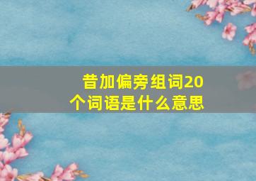 昔加偏旁组词20个词语是什么意思