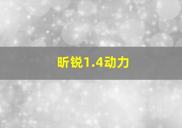 昕锐1.4动力