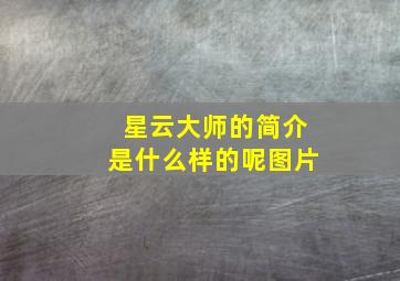 星云大师的简介是什么样的呢图片