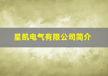 星凯电气有限公司简介