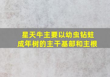 星天牛主要以幼虫钻蛀成年树的主干基部和主根