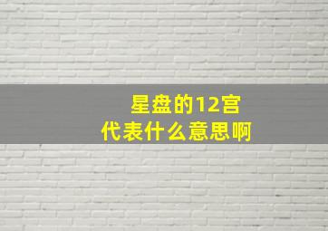 星盘的12宫代表什么意思啊