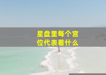 星盘里每个宫位代表着什么