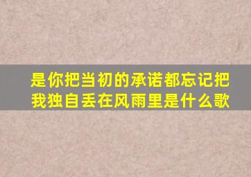 是你把当初的承诺都忘记把我独自丢在风雨里是什么歌