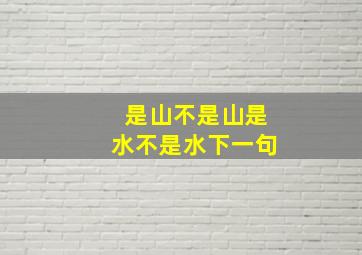 是山不是山是水不是水下一句