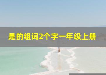 是的组词2个字一年级上册