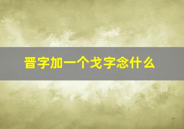 晋字加一个戈字念什么