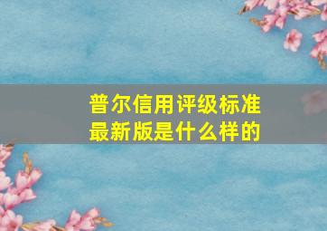 普尔信用评级标准最新版是什么样的