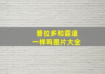 普拉多和霸道一样吗图片大全