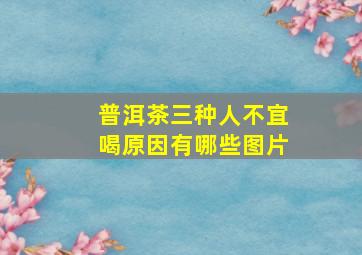 普洱茶三种人不宜喝原因有哪些图片