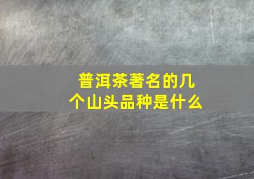 普洱茶著名的几个山头品种是什么