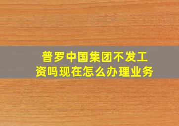 普罗中国集团不发工资吗现在怎么办理业务