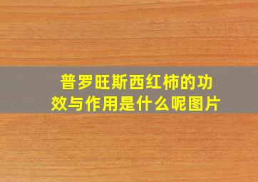 普罗旺斯西红柿的功效与作用是什么呢图片