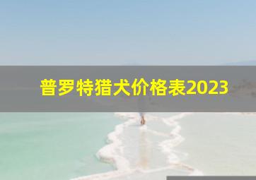 普罗特猎犬价格表2023