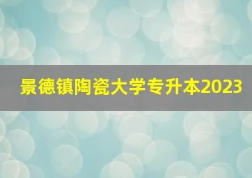 景德镇陶瓷大学专升本2023