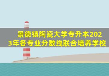 景德镇陶瓷大学专升本2023年各专业分数线联合培养学校