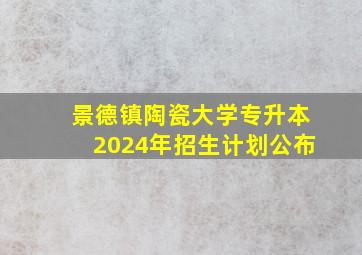 景德镇陶瓷大学专升本2024年招生计划公布