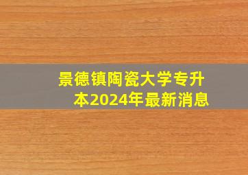 景德镇陶瓷大学专升本2024年最新消息