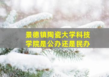 景德镇陶瓷大学科技学院是公办还是民办