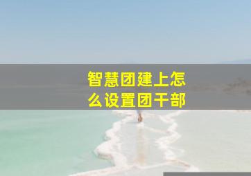 智慧团建上怎么设置团干部