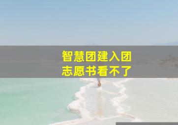 智慧团建入团志愿书看不了