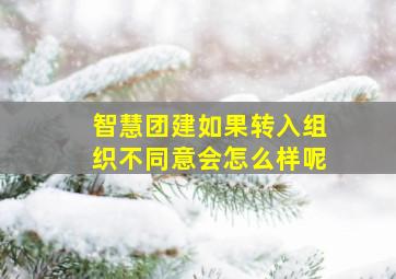 智慧团建如果转入组织不同意会怎么样呢