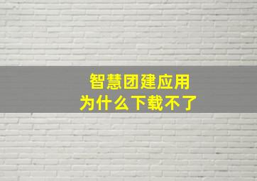 智慧团建应用为什么下载不了