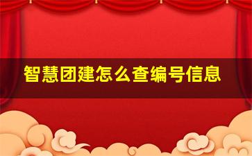 智慧团建怎么查编号信息