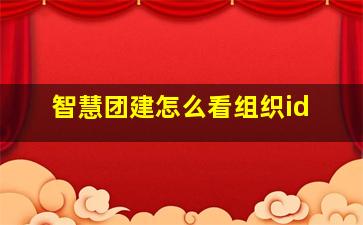 智慧团建怎么看组织id