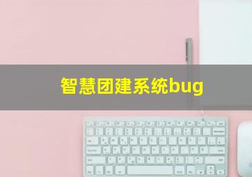 智慧团建系统bug