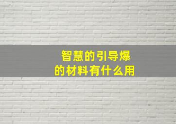 智慧的引导爆的材料有什么用