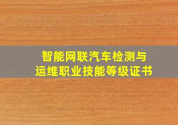 智能网联汽车检测与运维职业技能等级证书