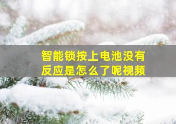 智能锁按上电池没有反应是怎么了呢视频