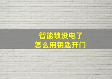 智能锁没电了怎么用钥匙开门