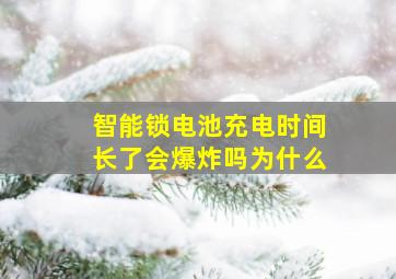 智能锁电池充电时间长了会爆炸吗为什么