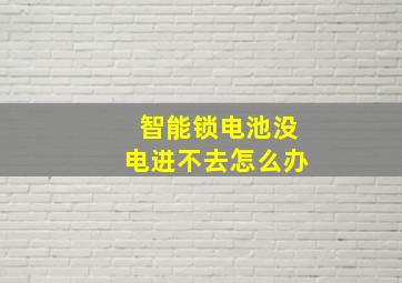 智能锁电池没电进不去怎么办