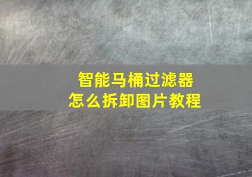 智能马桶过滤器怎么拆卸图片教程