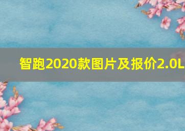 智跑2020款图片及报价2.0L