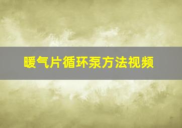 暖气片循环泵方法视频