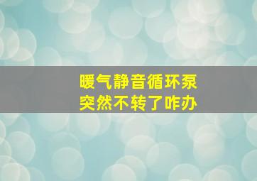 暖气静音循环泵突然不转了咋办