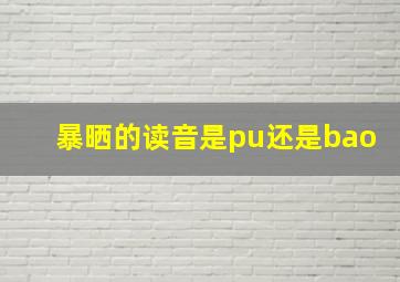 暴晒的读音是pu还是bao