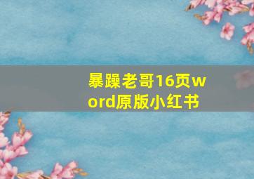 暴躁老哥16页word原版小红书