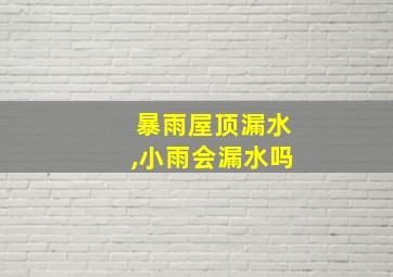 暴雨屋顶漏水,小雨会漏水吗