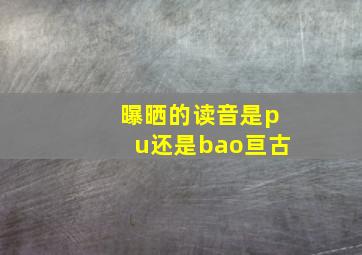 曝晒的读音是pu还是bao亘古