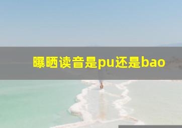 曝晒读音是pu还是bao