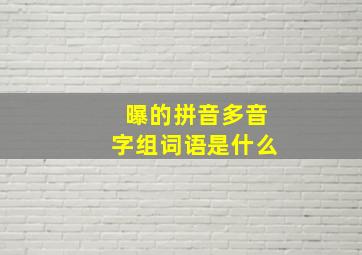 曝的拼音多音字组词语是什么