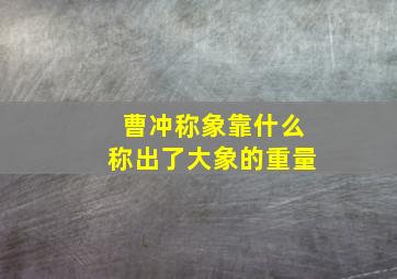 曹冲称象靠什么称出了大象的重量